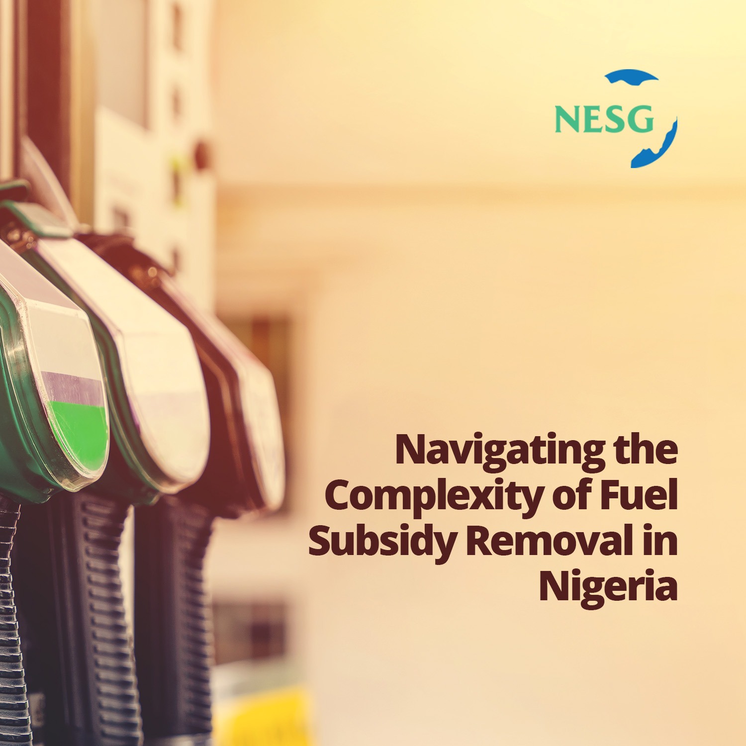 Navigating the Complexity of Fuel Subsidy Removal in Nigeria